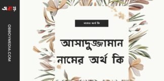 আসাদুজ্জামান নামের অর্থ কি (বিশেষ করে আরবি ও ইসলামিক অর্থ)