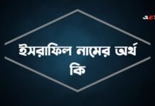 ইসরাফিল নামের অর্থ কি (বিশেষ করে আরবি ও ইসলামিক অর্থ)