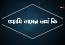 ওয়াসি নামের অর্থ কি (বিশেষ করে আরবি ও ইসলামিক অর্থ) ওয়াসি নামের অর্থ কি (বিশেষ করে আরবি ও ইসলামিক অর্থ)