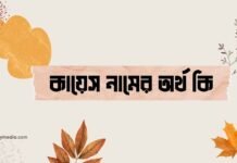 কায়েস নামের অর্থ কি - এটি কি সত্যিই আরবি নাম