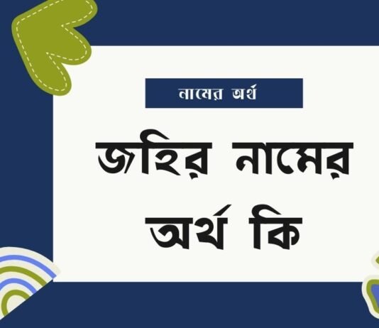 জহির নামের অর্থ কি (বিশেষ করে আরবি ও ইসলামিক অর্থ)