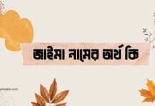 জাইমা নামের অর্থ কি – এটি কি সত্যিই আরবি নাম? জাইমা নামের অর্থ কি - এটি কি সত্যিই আরবি নাম