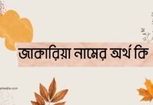 জাকারিয়া নামের অর্থ কি - ইসলামিক ও আরবি অর্থ জানুন