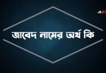 জাবেদ নামের অর্থ কি (বিশেষ করে আরবি ও ইসলামিক অর্থ)