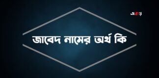 জাবেদ নামের অর্থ কি (বিশেষ করে আরবি ও ইসলামিক অর্থ)