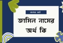 জামিল নামের অর্থ কি (বিশেষ করে আরবি ও ইসলামিক অর্থ) জামিল নামের অর্থ কি (বিশেষ করে আরবি ও ইসলামিক অর্থ)