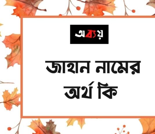 জাহান নামের অর্থ কি - এটি কি ইসলামিক নাম
