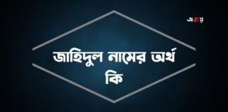 জাহিদুল নামের অর্থ কি (বিশেষ করে আরবি ও ইসলামিক অর্থ)