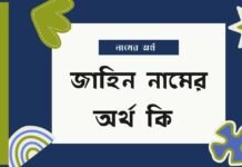 জাহিন নামের অর্থ কি - এটি কি সত্যিই আরবি নাম