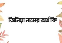 জিনিয়া নামের অর্থ কি – এটি কি সত্যিই ইসলামিক নাম? জিনিয়া নামের অর্থ কি - এটি কি সত্যিই ইসলামিক নাম