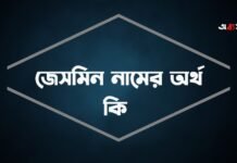 জেসমিন নামের অর্থ কি - এটি কি সত্যিই আরবি নাম