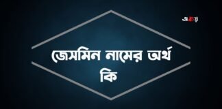 জেসমিন নামের অর্থ কি - এটি কি সত্যিই আরবি নাম