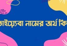 তাইয়্যেবা নামের অর্থ কি - এটি কি সত্যিই আরবি নাম