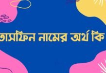 তাসফিন নামের অর্থ কি - ইসলামিক ও আরবি অর্থ জানুন
