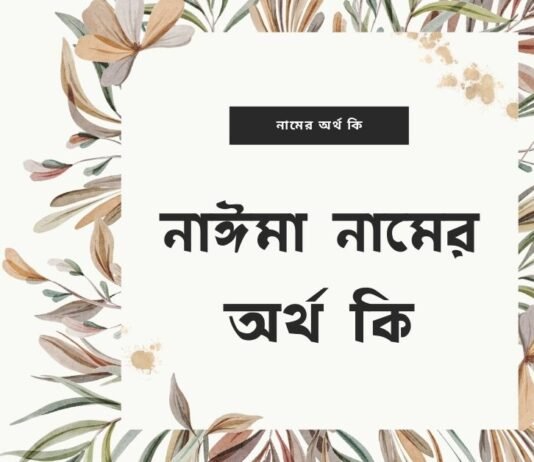 নাঈমা নামের অর্থ কি (আরবি ও ইসলামিক অর্থসহ)