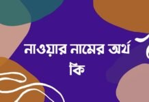 নাওয়ার নামের অর্থ কি (ইসলামিক ও আরবি অর্থসহ) নাওয়ার নামের অর্থ কি (ইসলামিক ও আরবি অর্থসহ)