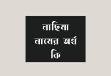 নাছিমা নামের অর্থ কি (বিশেষ করে আরবি ও ইসলামিক অর্থ)