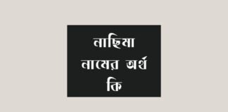 নাছিমা নামের অর্থ কি (বিশেষ করে আরবি ও ইসলামিক অর্থ)