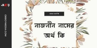 নাজনীন নামের অর্থ কি (আরবি ও ইসলামিক অর্থসহ)