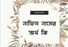 নাফিস নামের অর্থ কি - এটি কি ইসলামিক নাম