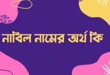 নাবিল নামের অর্থ কি - ইসলামিক ও আরবি অর্থটি চমকে দেবে