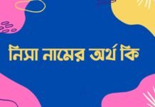 নিসা নামের অর্থ কি (ইসলামিক ও আরবি অর্থসহ) নিসা নামের অর্থ কি (ইসলামিক ও আরবি অর্থসহ)