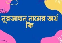 নুরজাহান নামের অর্থ কি (ইসলামিক ও আরবি অর্থসহ) নুরজাহান নামের অর্থ কি (ইসলামিক ও আরবি অর্থসহ)