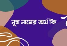 নুহা নামের অর্থ কি (ইসলামিক ও আরবি অর্থসহ) নুহা নামের অর্থ কি (ইসলামিক ও আরবি অর্থসহ)
