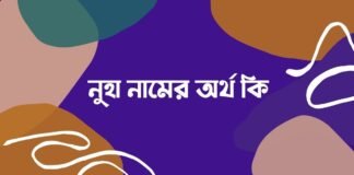 নুহা নামের অর্থ কি (ইসলামিক ও আরবি অর্থসহ)