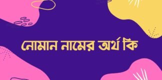নোমান নামের অর্থ কি - ইসলামিক ও আরবি অর্থটি চমকে দিবে