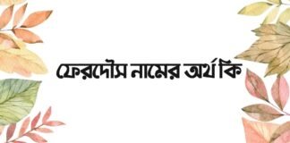 ফেরদৌস নামের অর্থ কি - এটি কি ইসলামিক নাম