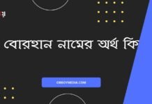বোরহান নামের অর্থ কি (বিশেষ করে আরবি ও ইসলামিক অর্থ)