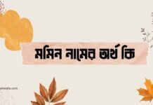 মমিন নামের অর্থ কি - এটি কি সত্যিই আরবি নাম