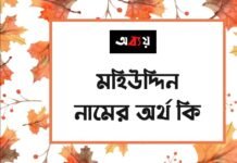 মহিউদ্দিন নামের অর্থ কি - ইসলামিক অর্থ জানুন
