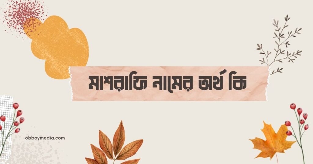 মাশরাফি নামের অর্থ কি - ইসলামিক ও আরবি অর্থ সহ জানুন মাশরাফি নামের অর্থ কি - ইসলামিক ও আরবি অর্থ সহ জানুন