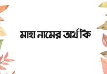 মাহা নামের অর্থ কি - এটি কি সত্যিই ইসলামিক নাম