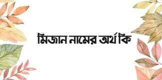 মিজান নামের অর্থ কি - ইসলামিক অর্থ জানুন