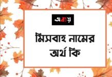 মিসবাহ নামের অর্থ কি - এটি কি সত্যিই আরবি নাম
