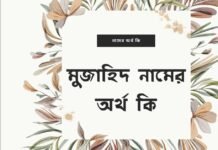 মুজাহিদ নামের অর্থ কি – এটি কি ইসলামিক নাম? মুজাহিদ নামের অর্থ কি - এটি কি ইসলামিক নাম