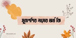 মুবাশশির নামের অর্থ কি (বিশেষ করে আরবি ও ইসলামিক অর্থ)