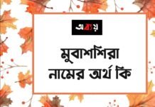 মুবাশশিরা নামের অর্থ কি (ইসলামিক ও আরবি অর্থ চমকে দিবে) মুবাশশিরা নামের অর্থ কি (ইসলামিক ও আরবি অর্থ চমকে দিবে)