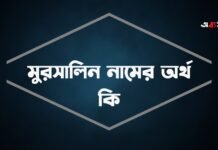 মুরসালিন নামের অর্থ কি - ইসলামিক ও আরবি অর্থ জানা জরুরী