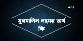 মুরসালিন নামের অর্থ কি - ইসলামিক ও আরবি অর্থ জানা জরুরী