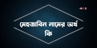 মেহজাবিন নামের অর্থ কি - এটি কি সত্যিই ইসলামিক নাম