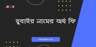যুবাইর নামের অর্থ কি (বিশেষ করে আরবি ও ইসলামিক অর্থ)