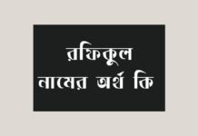 রফিকুল নামের অর্থ কি - এটি কি ইসলামিক নাম