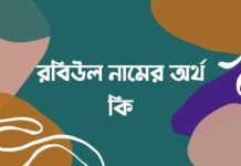 রবিউল নামের অর্থ কি – ইসলামিক ও আরবি অর্থ জানা জরুরী রবিউল নামের অর্থ কি - ইসলামিক ও আরবি অর্থ জানা জরুরী