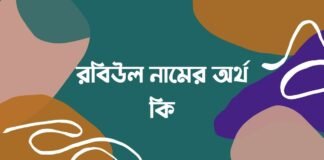 রবিউল নামের অর্থ কি - ইসলামিক ও আরবি অর্থ জানা জরুরী