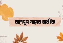 রাশেদুল নামের অর্থ কি (বিশেষ করে আরবি ও ইসলামিক অর্থ) রাশেদুল নামের অর্থ কি (বিশেষ করে আরবি ও ইসলামিক অর্থ)