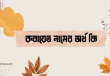রুবায়েত নামের অর্থ কি (বিশেষ করে আরবি ও ইসলামিক অর্থ) রুবায়েত নামের অর্থ কি (বিশেষ করে আরবি ও ইসলামিক অর্থ)